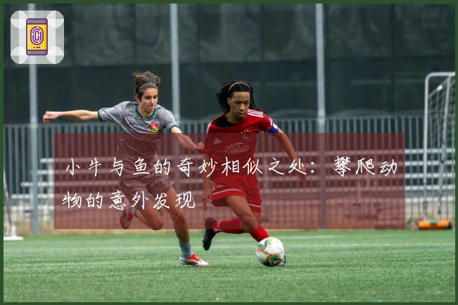 小牛与鱼的奇妙相似之处：攀爬动物的意外发现